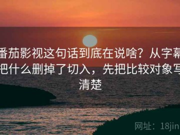 番茄影视这句话到底在说啥？从字幕把什么删掉了切入，先把比较对象写清楚
